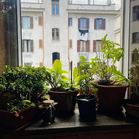 Testaccio 100 Daire Roma